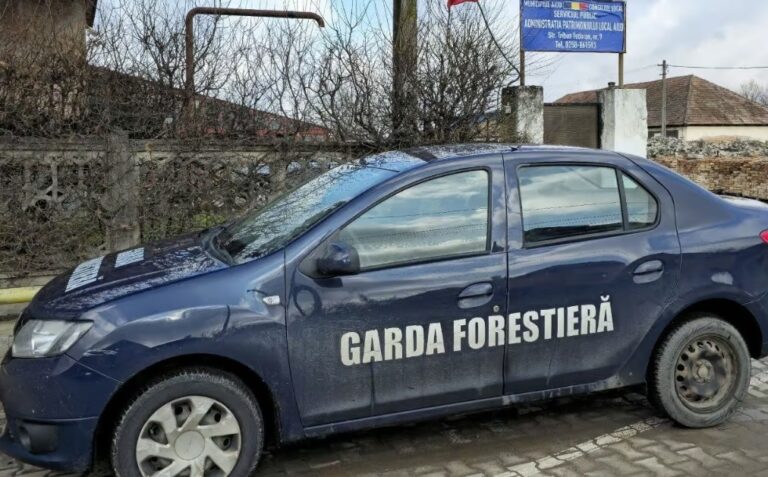 Primarul din Aiud a anunțat că Garda Forestieră face verificări la Aiud: „Este vizat un contract de administrare a fondului forestier!”