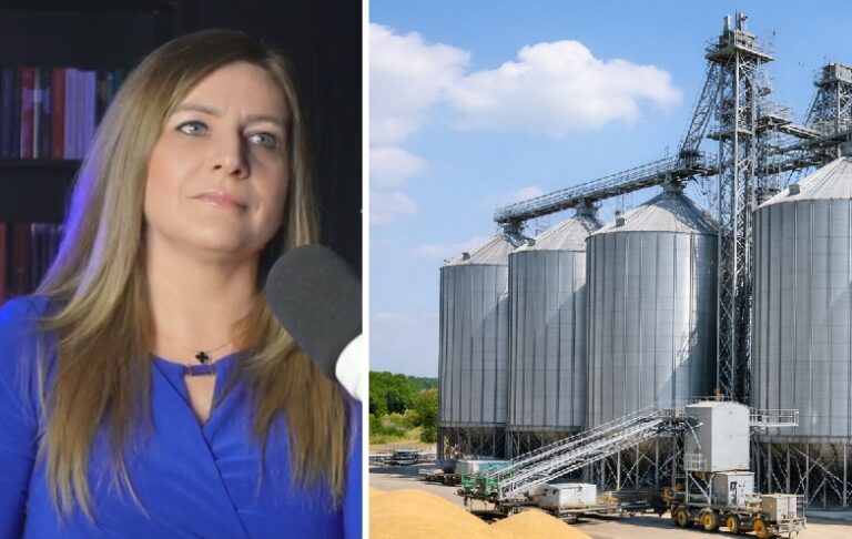De la câmp la raft: Cojocna pregătește un hub agricol care schimbă regulile jocului
