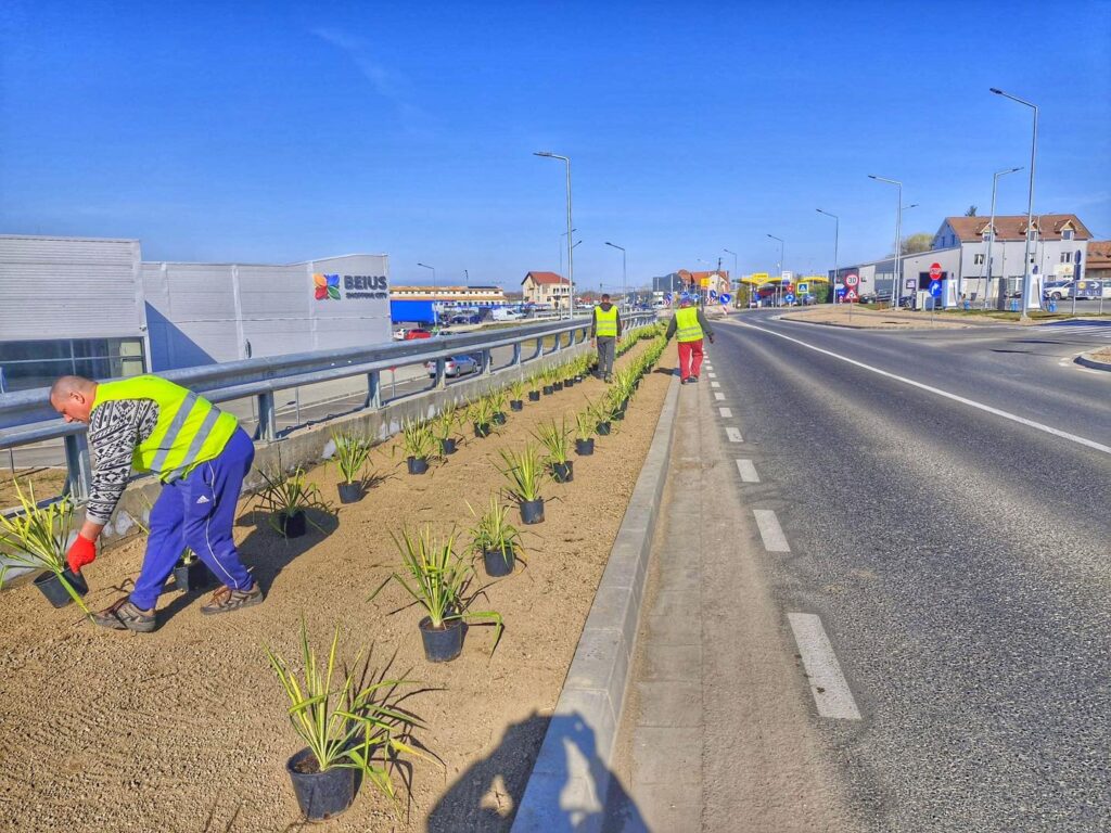 Curățenia de primăvară a început în municipiul Beiuș