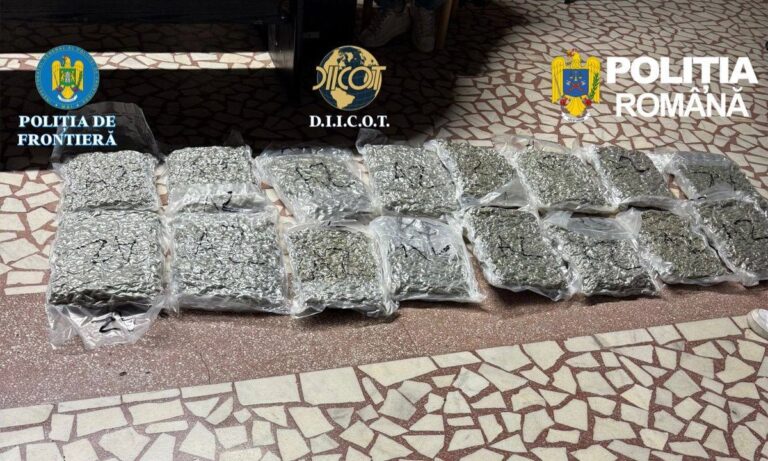 31 de kilograme de canabis descoperite la Nădlac: cetățean italian reținut de DIICOT
