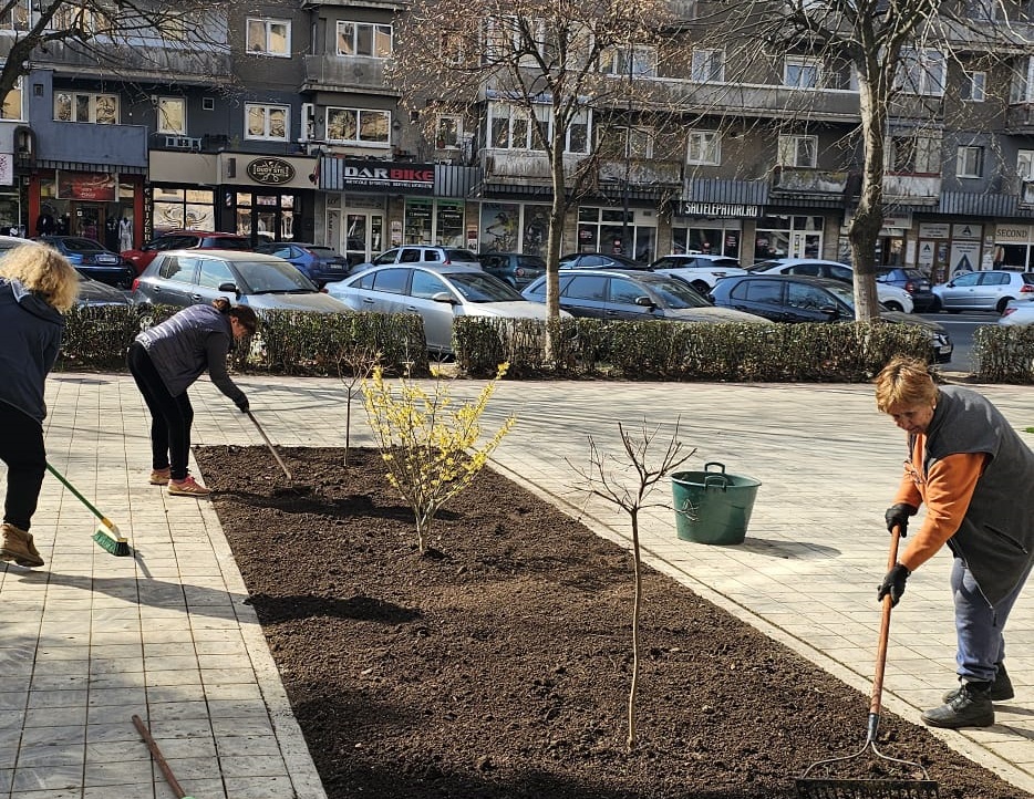 Un municipiu mai verde: Primăria Deva și SPÎGM plantează arbori în toate cartierele