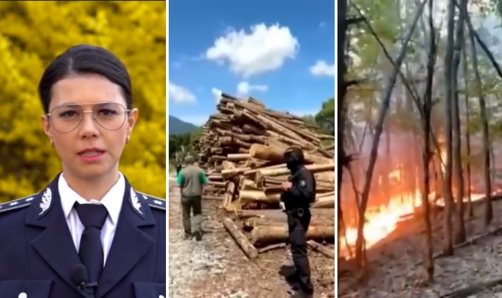 Poliția Română: Lupta pentru protejarea pădurilor este o acțiune zilnică