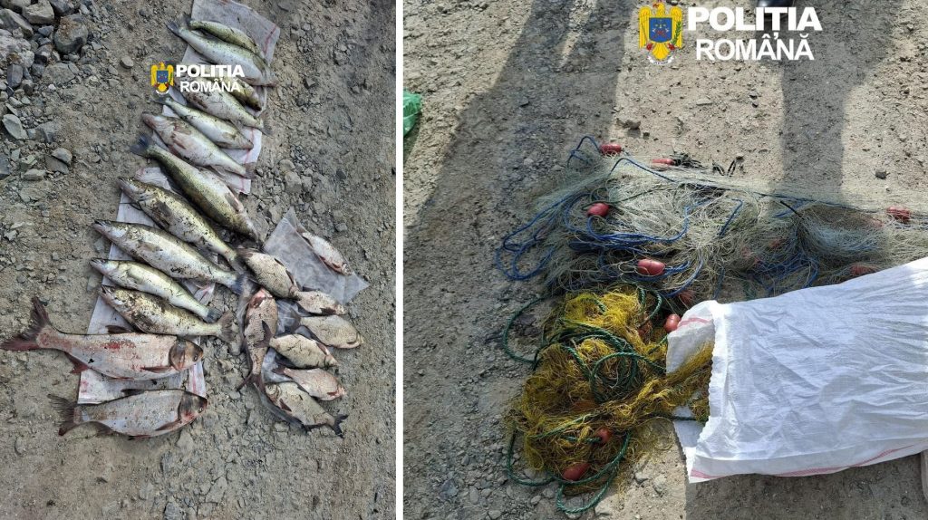 Braconaj piscicol în Hunedoara: peste 40 de kilograme de pește confiscate la Burjuc! Controale în Ilia, Burjuc și Zam!