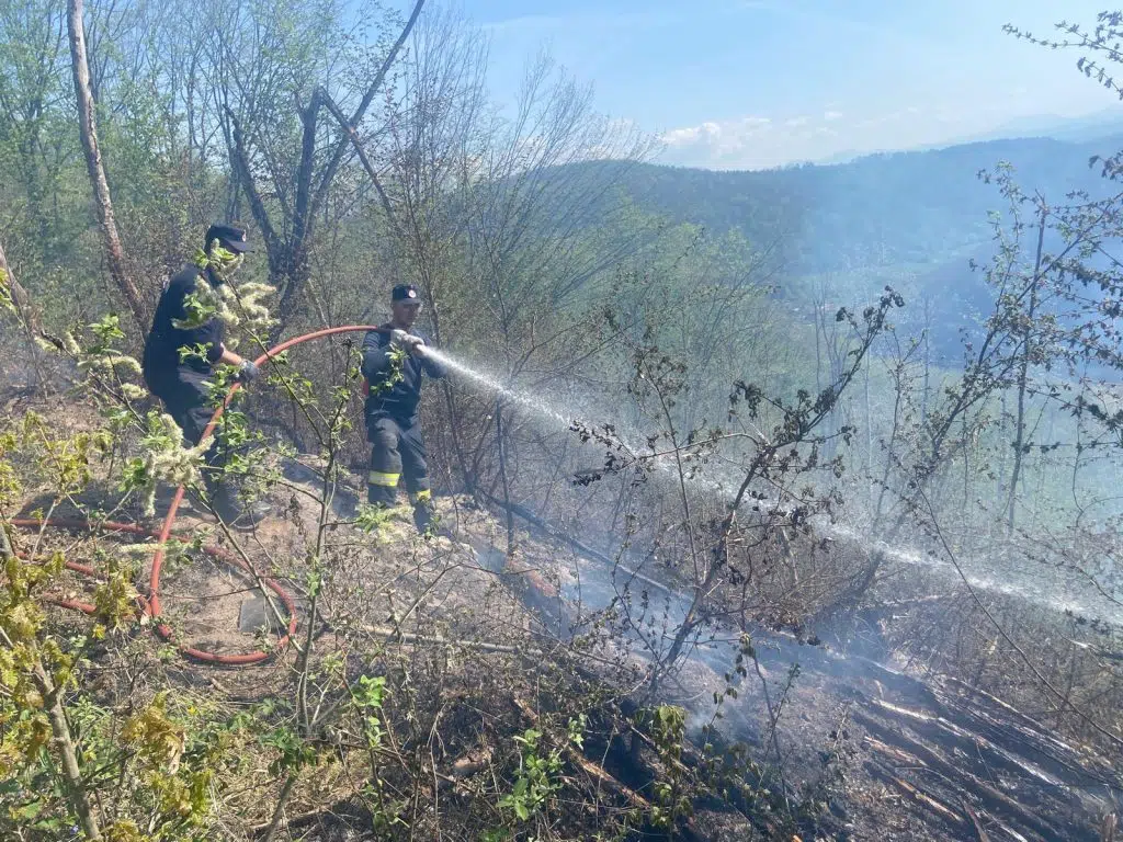 Incendiu puternic de vegetație în zona satului Prăvăleni din comuna Vața de Jos. Zeci de pompieri intervin pe teren dificil!