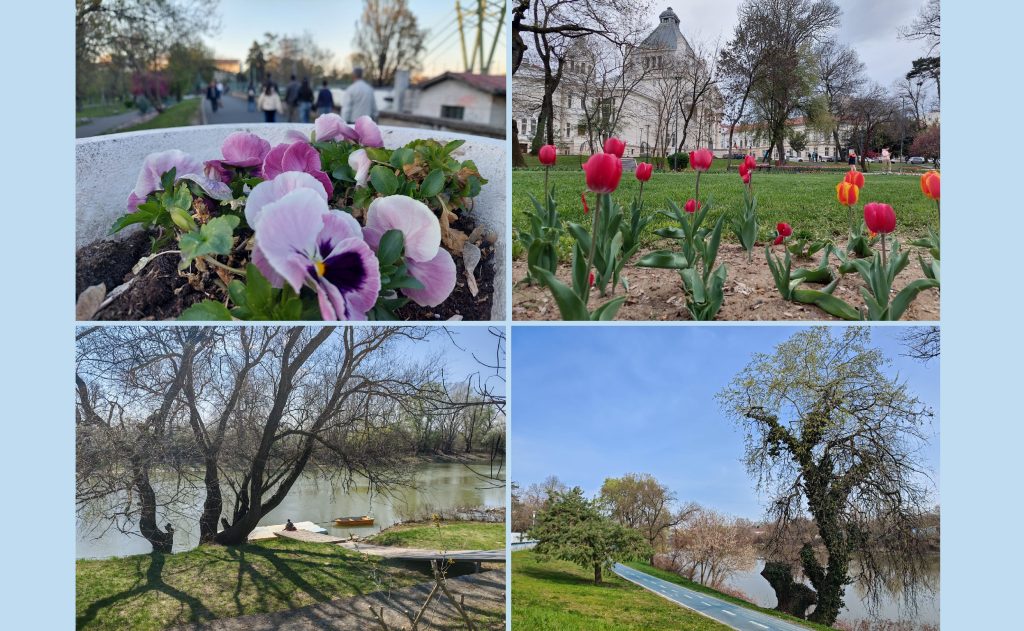 Aradul la pas: Consiliul Județean Arad lansează un nou traseu turistic pe Faleza Mureșului