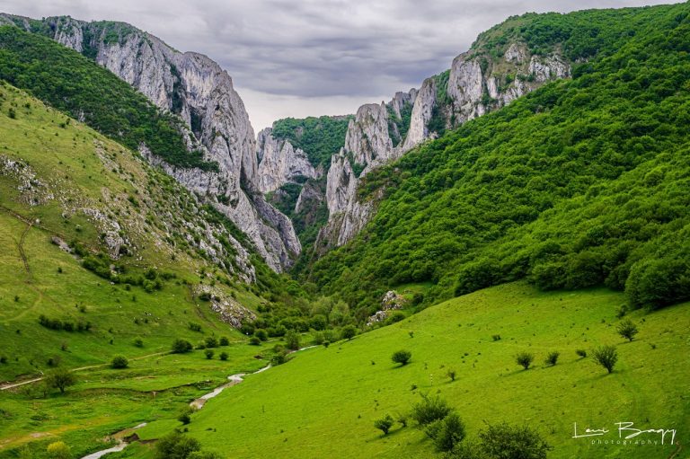 Verde crud la Cheile Turzii: Natura a explodat în culori spectaculoase într-unul dintre cele mai frumoase locuri din Apuseni!
