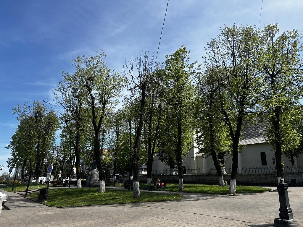 Primăria Huedin caută soluții pentru problema ciorilor din centrul orașului Huedin