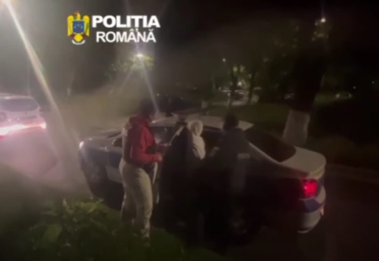Trei tineri reținuți de polițiștii hunedoreni pentru furt calificat și infracțiuni rutiere