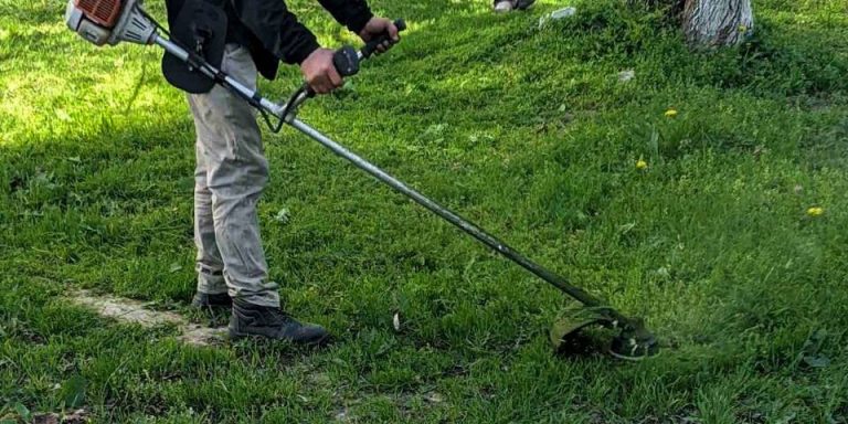 Huedinul vrea să fie curat: Iarba netăiată te costă! Sancțiuni pentru neglijență!