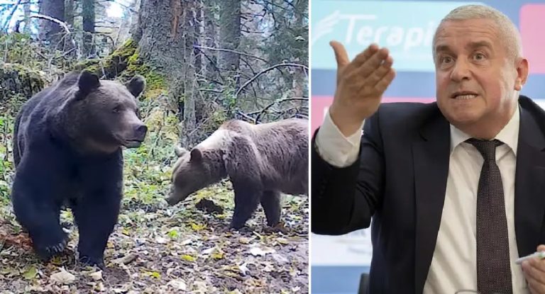 Daniel Buda: „Câți oameni trebuie să mai moară?” Explozia din Parlamentul European care pune pe masă eșecul autorităților în criza urșilor!