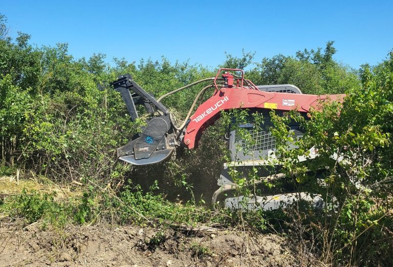 Lucrări pentru siguranța și estetica drumurilor județene din Arad: Drumarii fac defrișări și toaletări!