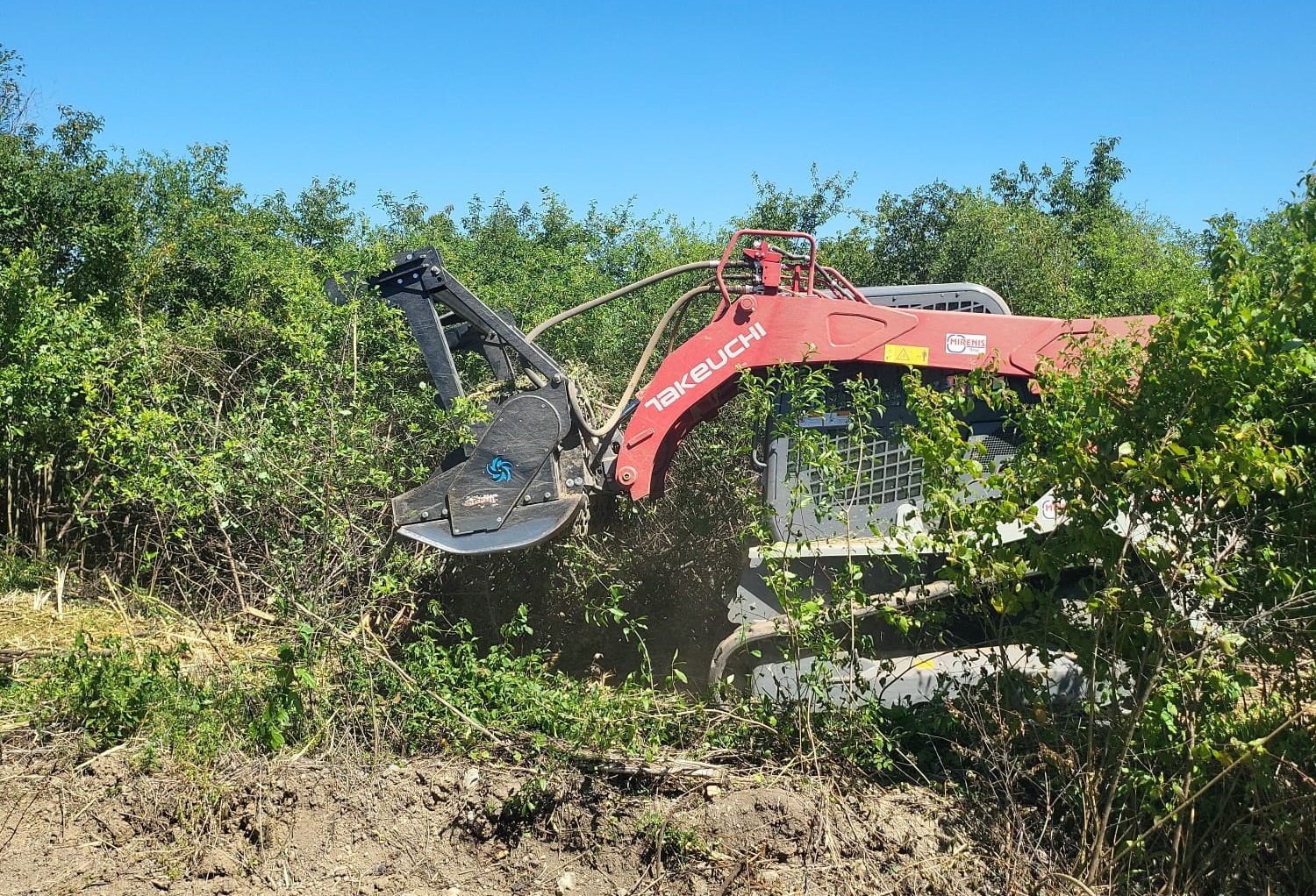 Lucrări pentru siguranța și estetica drumurilor județene din Arad: Drumarii fac defrișări și toaletări!