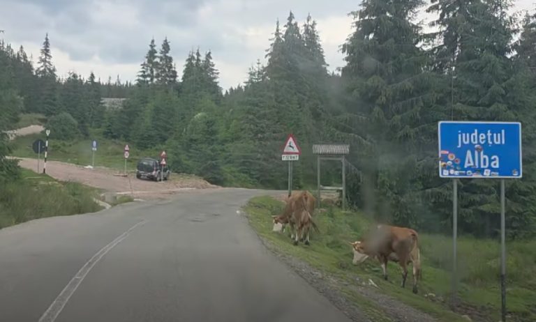 Transursoaia – DN1R, motiv de revoltă: Profesorul Irimie Popa spune că drumul din Alba „îngroapă turismul”