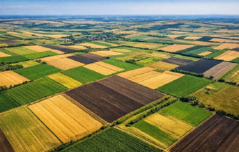 APIA virează peste 1,44 milioane de lei pentru rentierii agricoli și moștenitorii acestora: 31 august, termen important pentru beneficiari!
