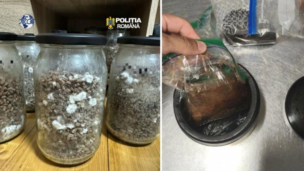 „Amazon Weekend”, oprit de DIICOT în Hunedoara. Ritualuri cu șamani, Ayahuasca și mescalină la o pensiune din Boșorod. Doi străini au fost arestați