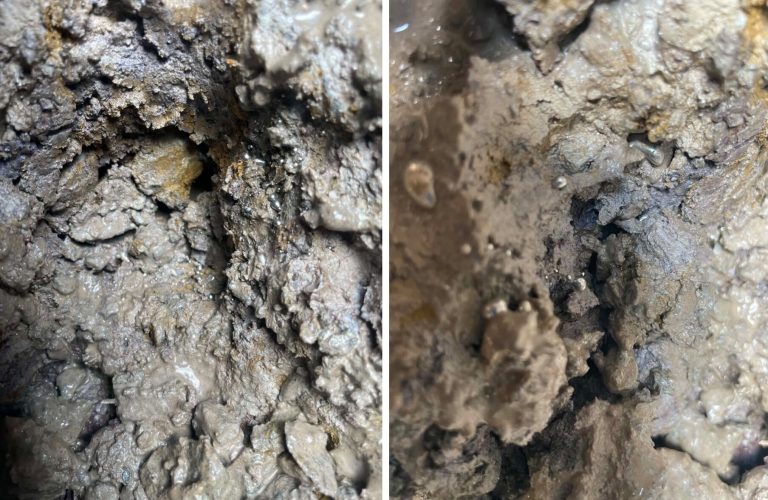 Mercur descoperit într-o fântână dintr-un cătun din Apuseni. Cum a fost făcută descoperirea?