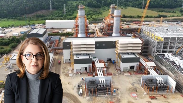 Pollyanna Hangan: România poate reduce importurile de energie. Turbina de la Mintia așteaptă undă verde