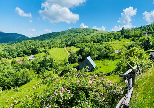 Valea Ierii – destinația ideală pentru o vacanță în inima Munților Apuseni