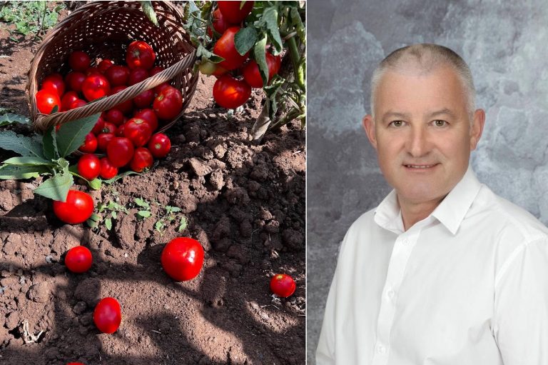 Ce face un primar în concediu? Călin Dud, edilul din Luncoiu de Jos, a schimbat Primăria cu roșiile din gospodărie: „Răspunsul este evident: suc de roșii!”