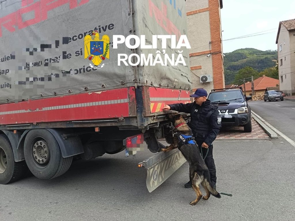Acțiune de amploare în Hunedoara împotriva migrației ilegale: Peste 860 de mașini oprite și aproape 1.000 de persoane verificate!