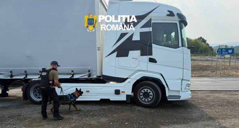 Acțiune de amploare în gările și trenurile din Hunedoara: Polițiștii au verificat zeci de persoane și mașini pentru combaterea migrației ilegale!