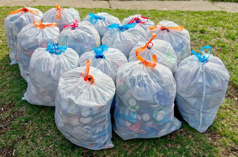 Mobilizare de amploare la Turda: 1.000 de voluntari ies la curățenie generală de Ziua Națională a Mediului