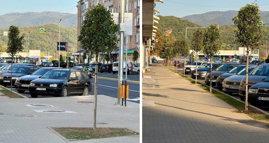 Centrul orașului Hațeg se transformă: Primarul Adrian Pușcaș anunță plantarea de arbori și amenajarea unor noi spații verzi