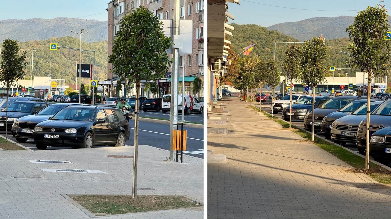 Centrul orașului Hațeg se transformă: Primarul Adrian Pușcaș anunță plantarea de arbori și amenajarea unor noi spații verzi