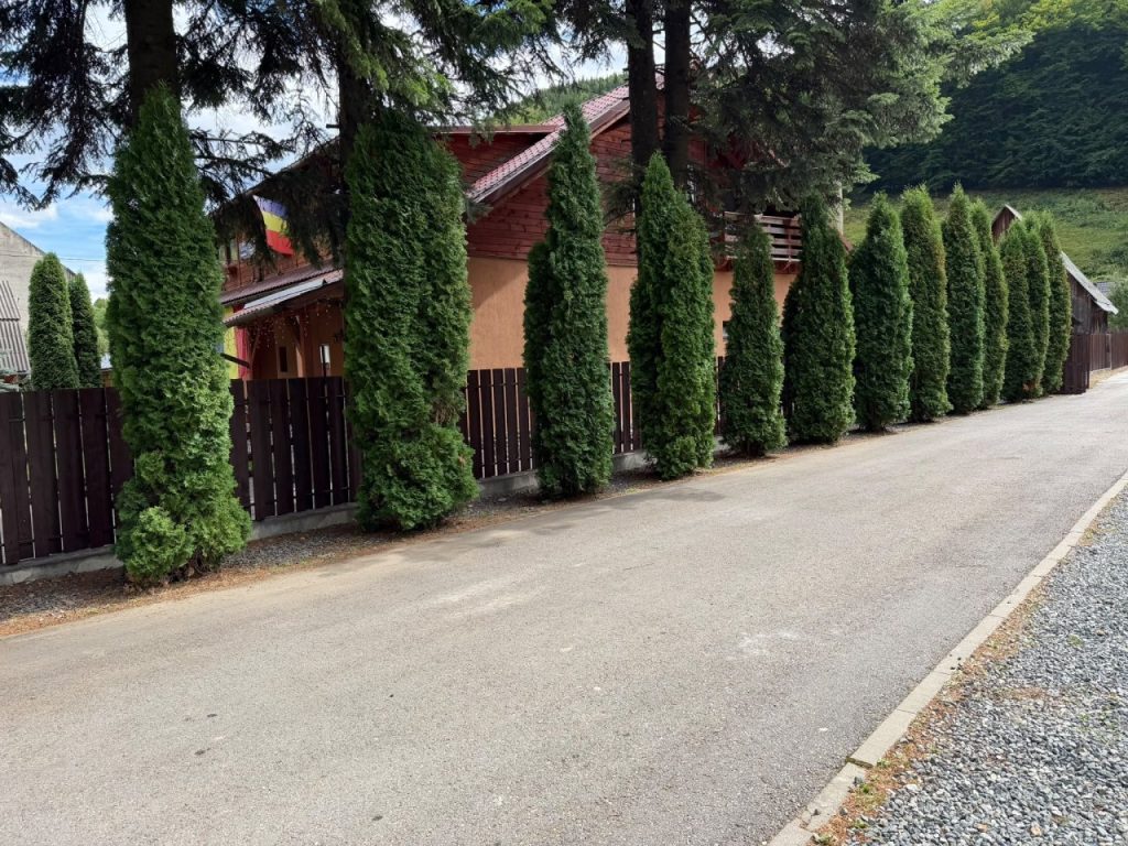 Drum reparat după o alunecare de teren care a izolat 15 case și gard nou la școala din Valea Ierii! Investiții cu sprijinul Consiliului Județean Cluj