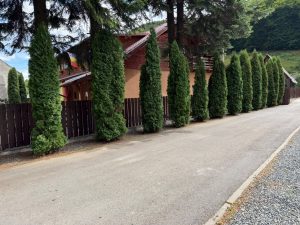 Drum reparat după o alunecare de teren care a izolat 15 case și gard nou la școala din Valea Ierii! Investiții cu sprijinul Consiliului Județean Cluj