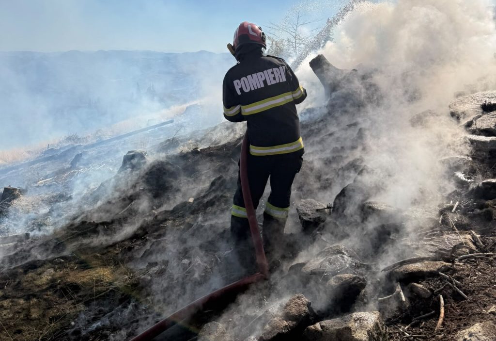 Incendiu puternic de vegetație uscată la Lupșa: Flăcările s-au întins pe aproximativ 8.000 de metri pătrați!