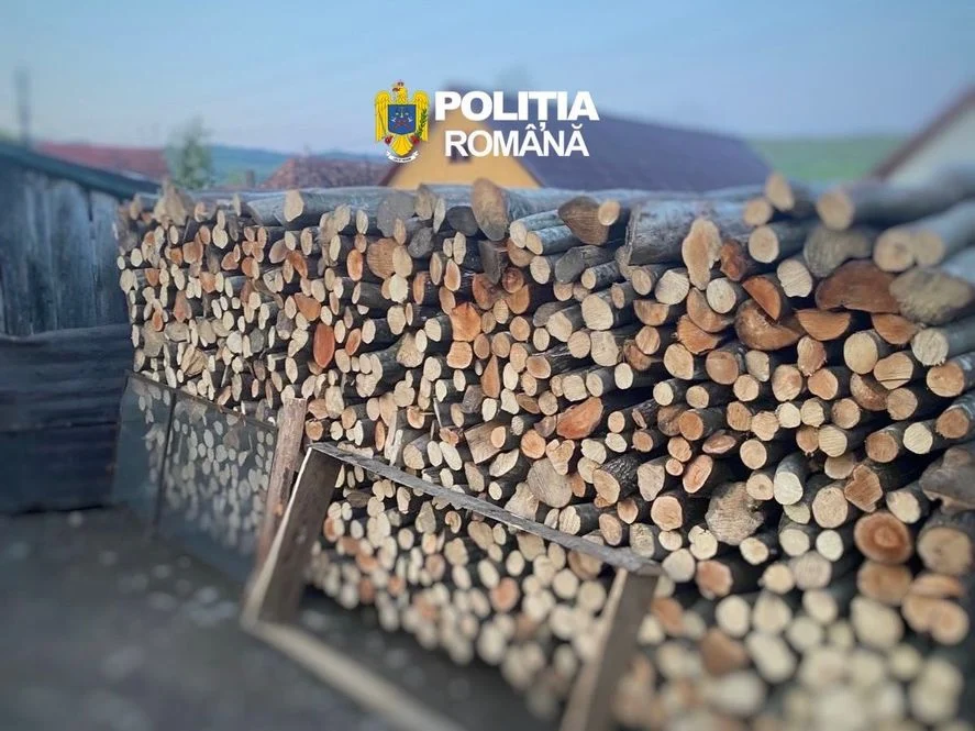 Scandal în domeniul silvic din Arad! Angajat al unui ocol silvic privat, cercetat după ce ar fi introdus date false în SUMAL pentru șase transporturi de lemn