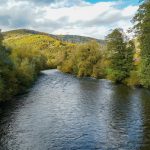 Veste excelentă pentru turismul din Bihor! Pădurea Craiului a primit statutul oficial de destinație ecoturistică. Comuna Șuncuiuș, parte a unei zone recunoscute la nivel național